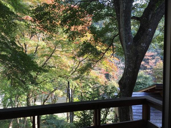 Suikoen Otel Okutama Dış mekan fotoğraf
